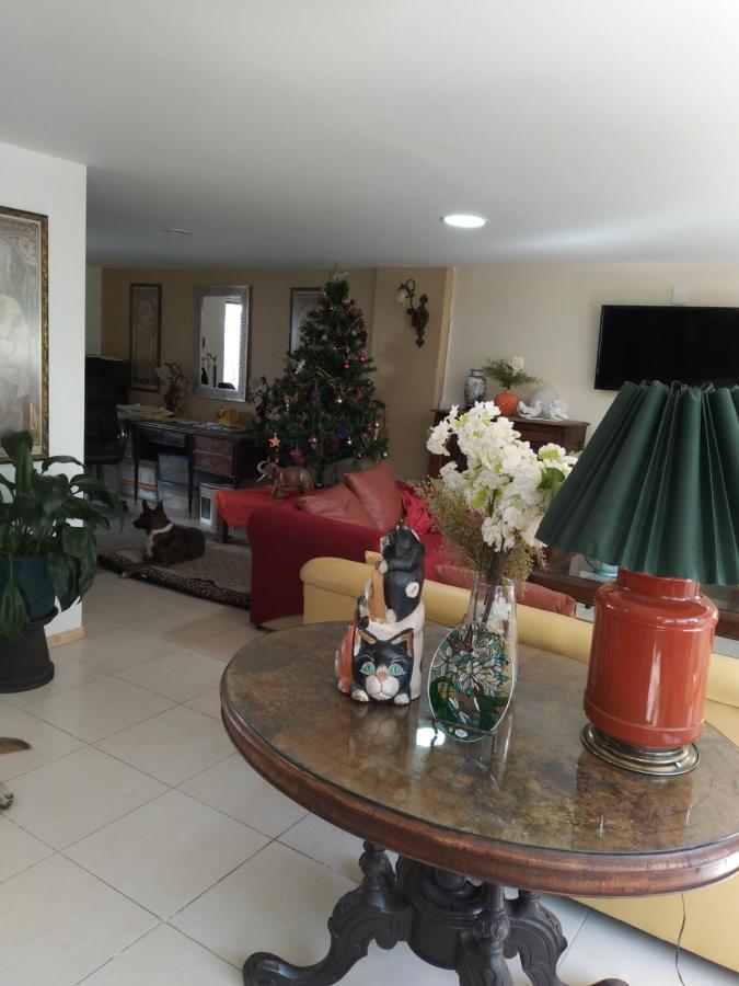 Charming Sunny Bedroom Overlooking Beautiful Amsterdam Avenue In Best Condesa Area Kota Meksiko Bagian luar foto