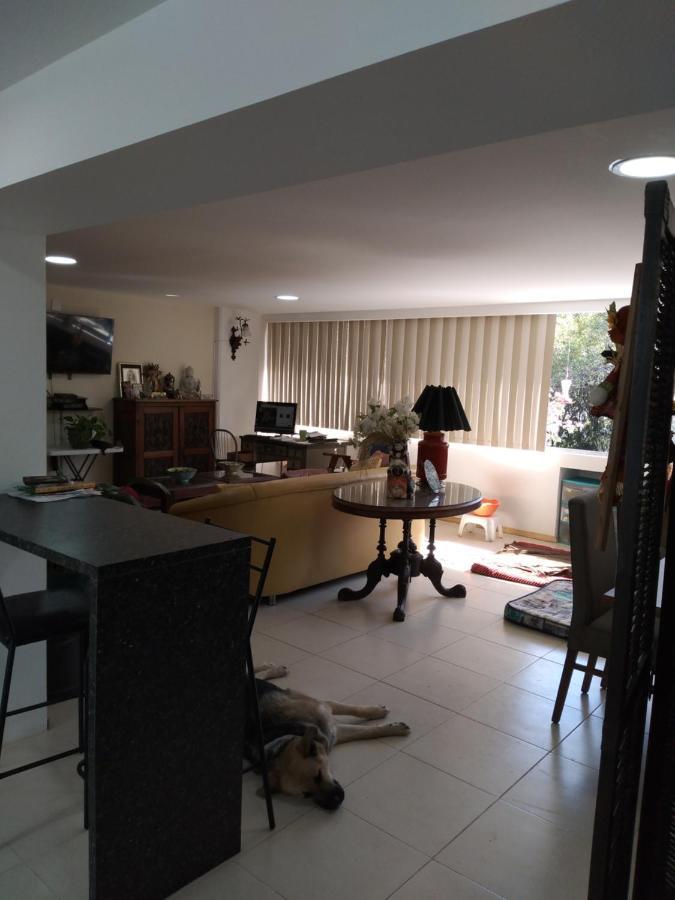 Charming Sunny Bedroom Overlooking Beautiful Amsterdam Avenue In Best Condesa Area Kota Meksiko Bagian luar foto