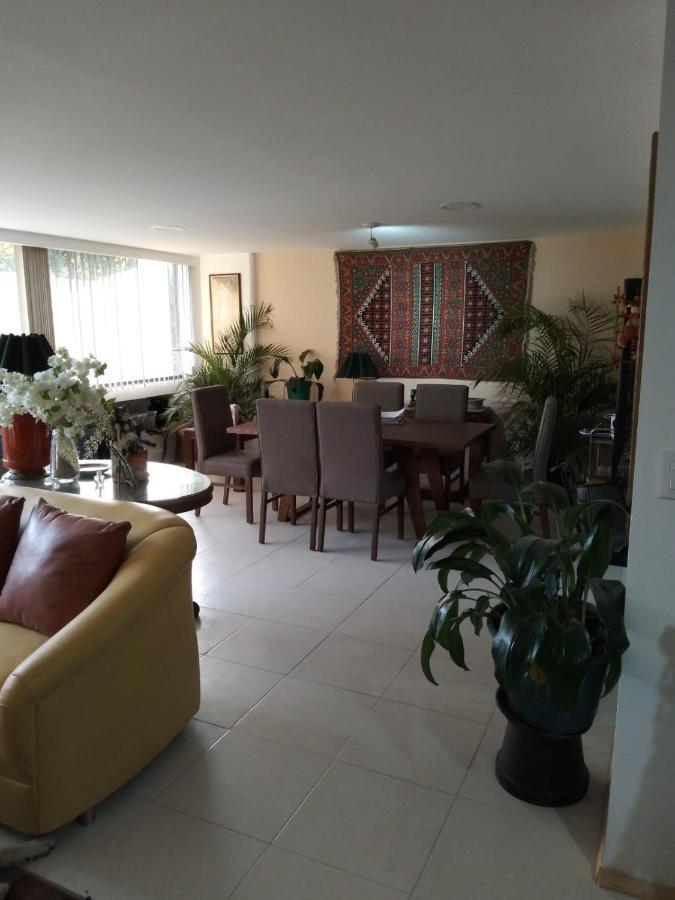 Charming Sunny Bedroom Overlooking Beautiful Amsterdam Avenue In Best Condesa Area Kota Meksiko Bagian luar foto