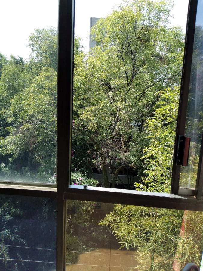 Charming Sunny Bedroom Overlooking Beautiful Amsterdam Avenue In Best Condesa Area Kota Meksiko Bagian luar foto