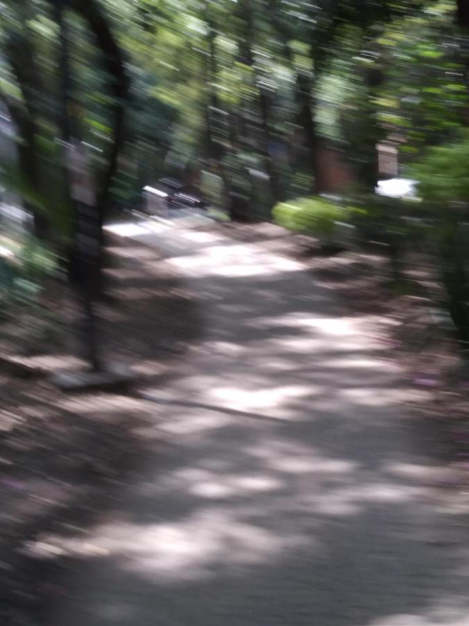 Charming Sunny Bedroom Overlooking Beautiful Amsterdam Avenue In Best Condesa Area Kota Meksiko Bagian luar foto