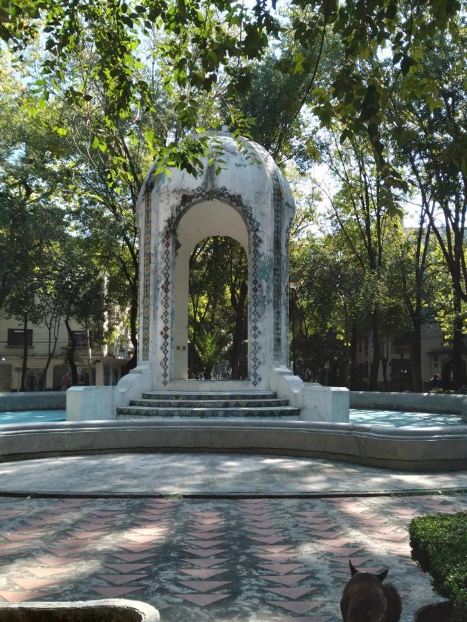 Charming Sunny Bedroom Overlooking Beautiful Amsterdam Avenue In Best Condesa Area Kota Meksiko Bagian luar foto